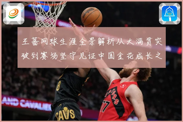 王蔷网球生涯全景解析从大满贯突破到赛场坚守见证中国金花成长之路