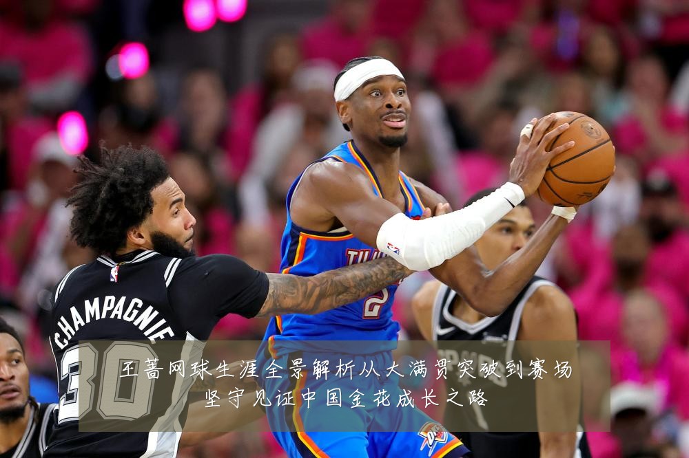 王蔷网球生涯全景解析从大满贯突破到赛场坚守见证中国金花成长之路