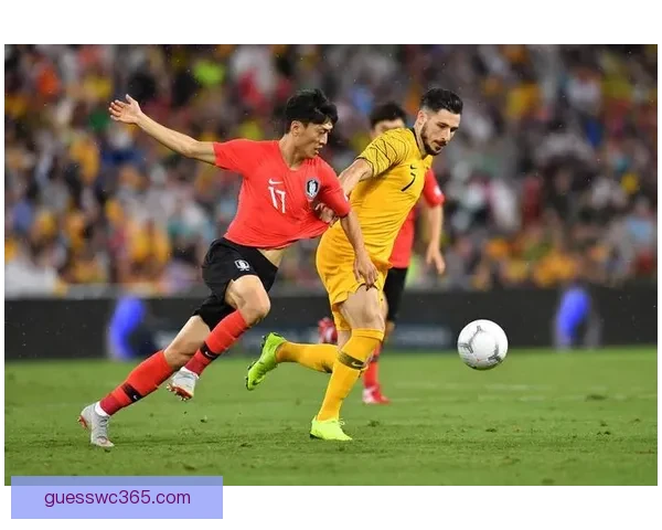 世界杯赛事全面解析与投注技巧深度指南全面提升竞猜胜率