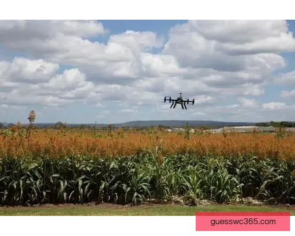 世界杯竞猜APP平台打造沉浸式赛事互动体验与精准预测服务新生态 世界杯竞猜APP平台打造沉浸式赛事互动体验与精准预测服务新生态